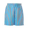 Boys Shorts, Seaview Stripe
